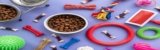 Top Pet Supplies in the UAE 2025